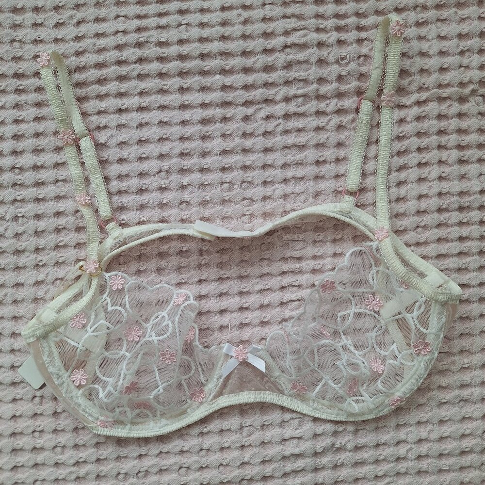 Floral Embroidered Sheer Bra - Cream and Pink